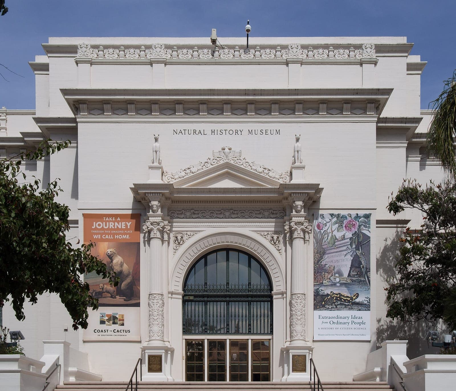 American Museum of Natural History