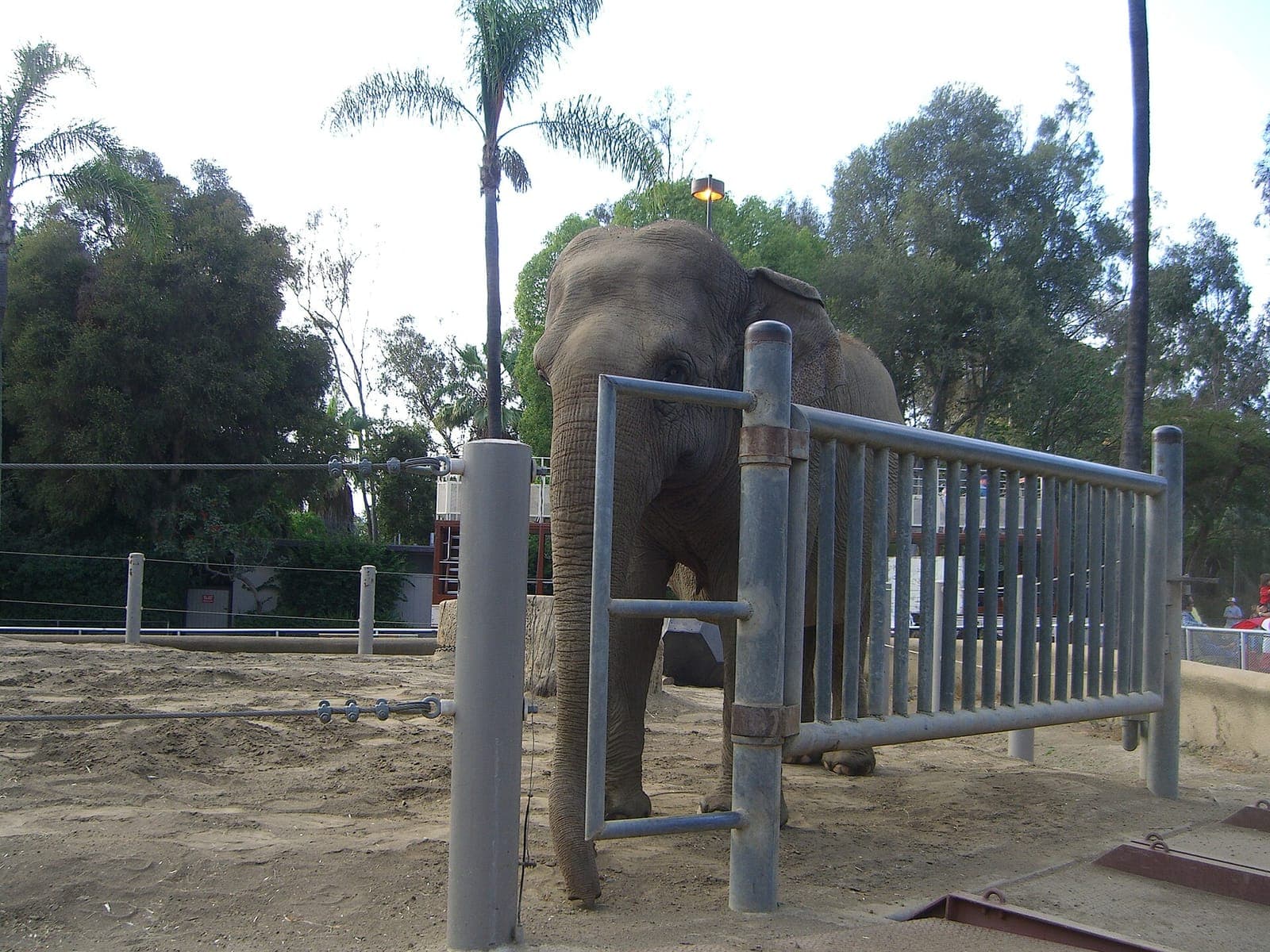 San Diego Zoo
